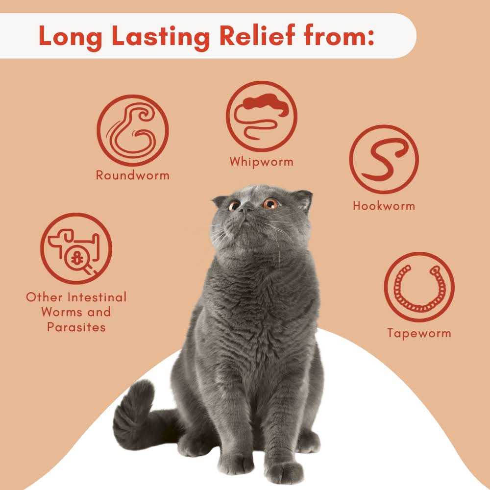 Broad Spectrum Dewormer for Cats and Kittens J414