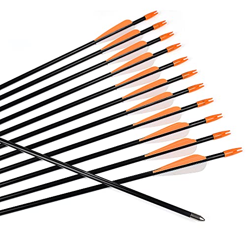 Fiberglass Arrows 30 Inch Target Shooting Safetyglass Recurve Bows A539