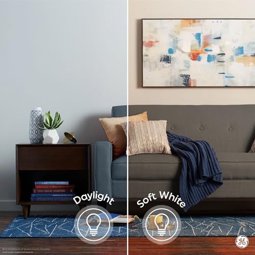 100 Watt Soft White A19 LED Light Bulbs (2 Pack) K456