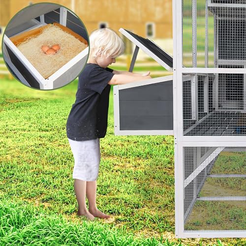 Gray 3-Tier Wooden Chicken Coop with Run L677648