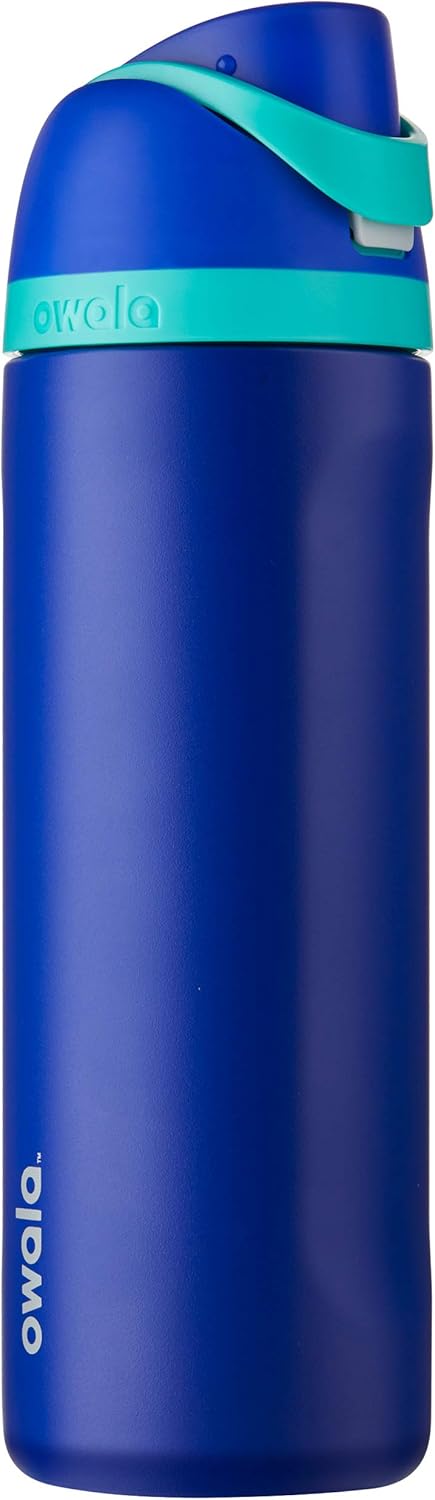 24-Ounce Insulated Stainless Steel Water Bottle P438277
