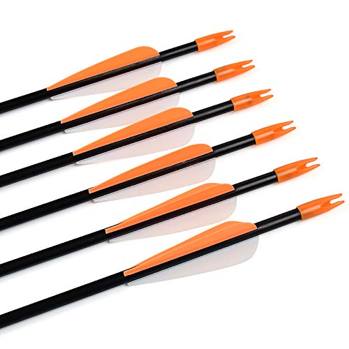 Fiberglass Arrows 30 Inch Target Shooting Safetyglass Recurve Bows A539