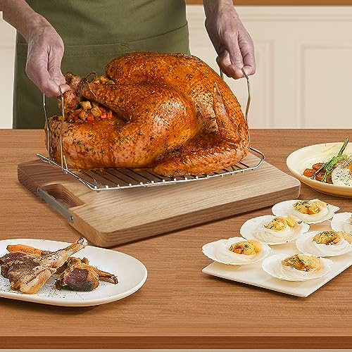 Silver Stainless Steel Electric Roaster Oven with Removable Pan and Rack T6966