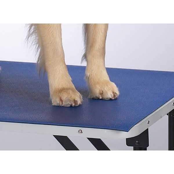 Table Mat N856795