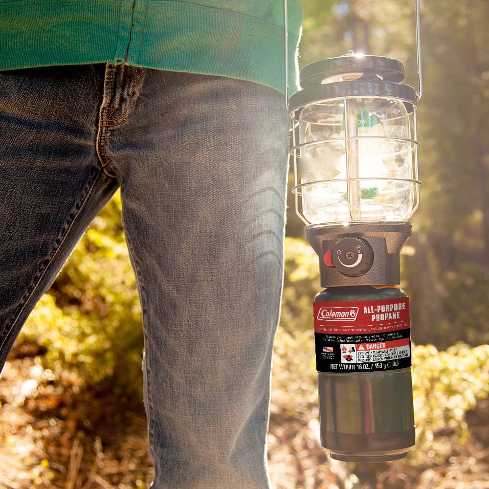16 ounce 2-Pack Propane Gas Cylinder A110
