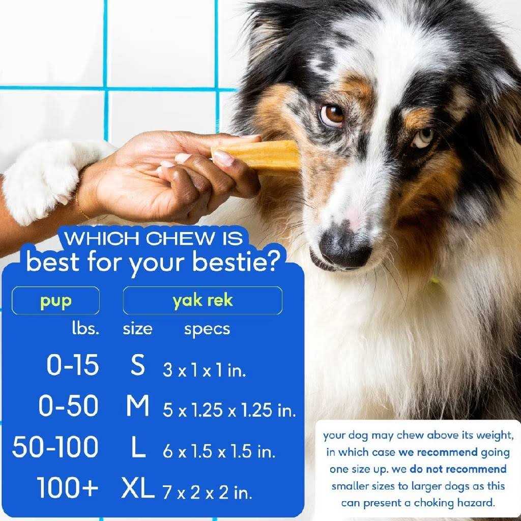 Yak Chews I6219
