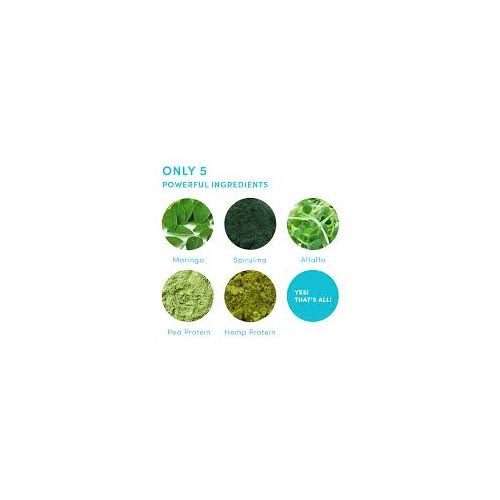 Plant Based Organic Protein Powder N6276