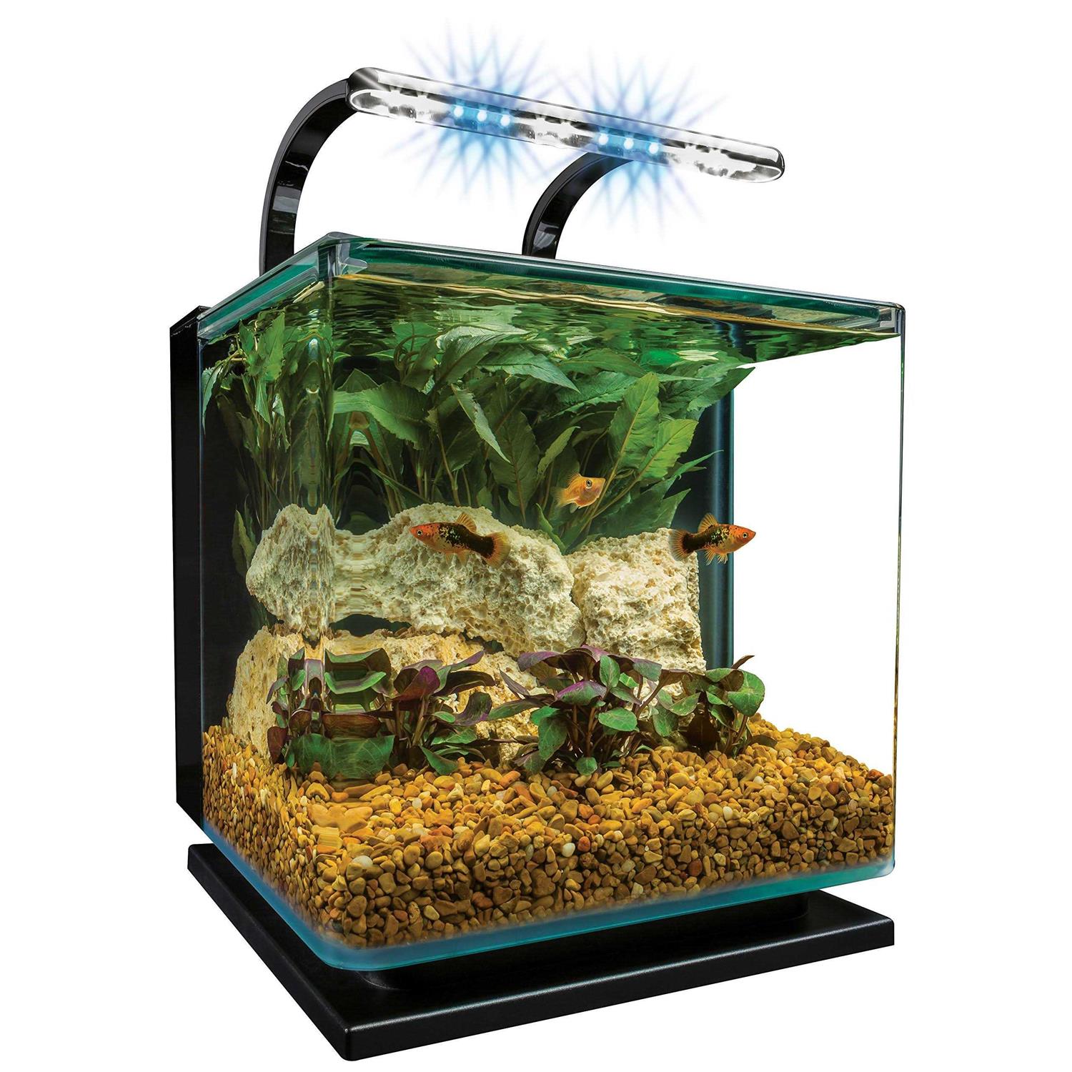 5 Gallon Kit I7462