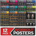 12-PACK Laminated Large Workout Poster Set with Exercise Charts C312967