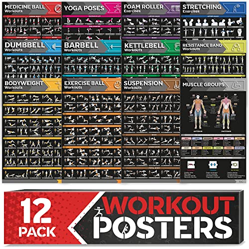12-PACK Laminated Large Workout Poster Set with Exercise Charts C312967