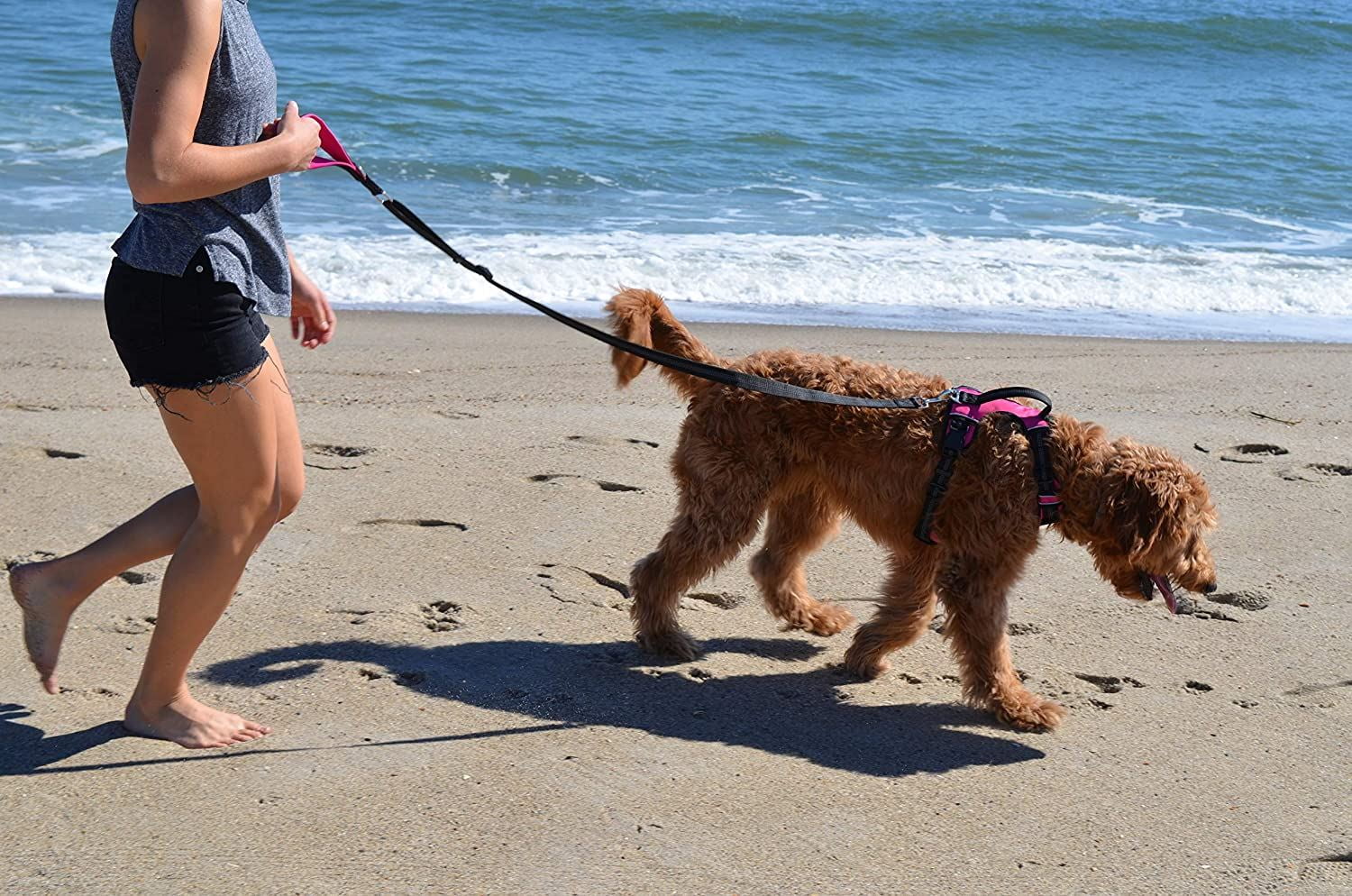 Padded Handle Adjustable Dog Leash (Pink/Black) H103333