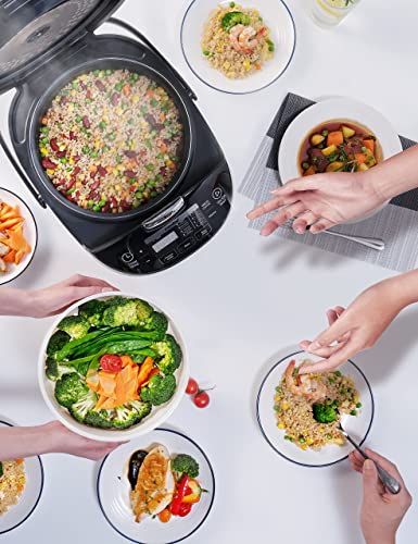 Large Rice Cooker P765