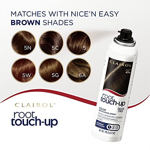 Dark Brown Temporary Hair Color Spray, 2 Count E538
