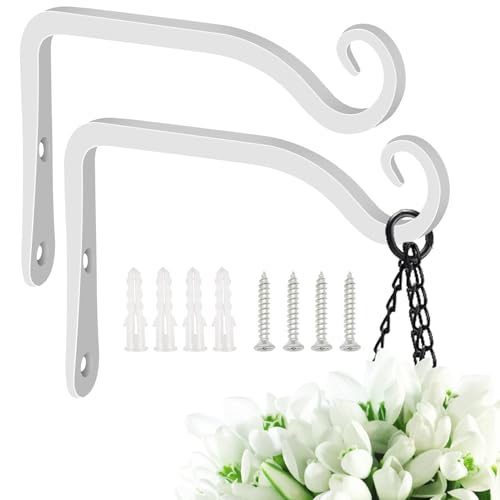 Black 10 Inch 2 Pack Wall Hook Hanging Plant Bracket O342751