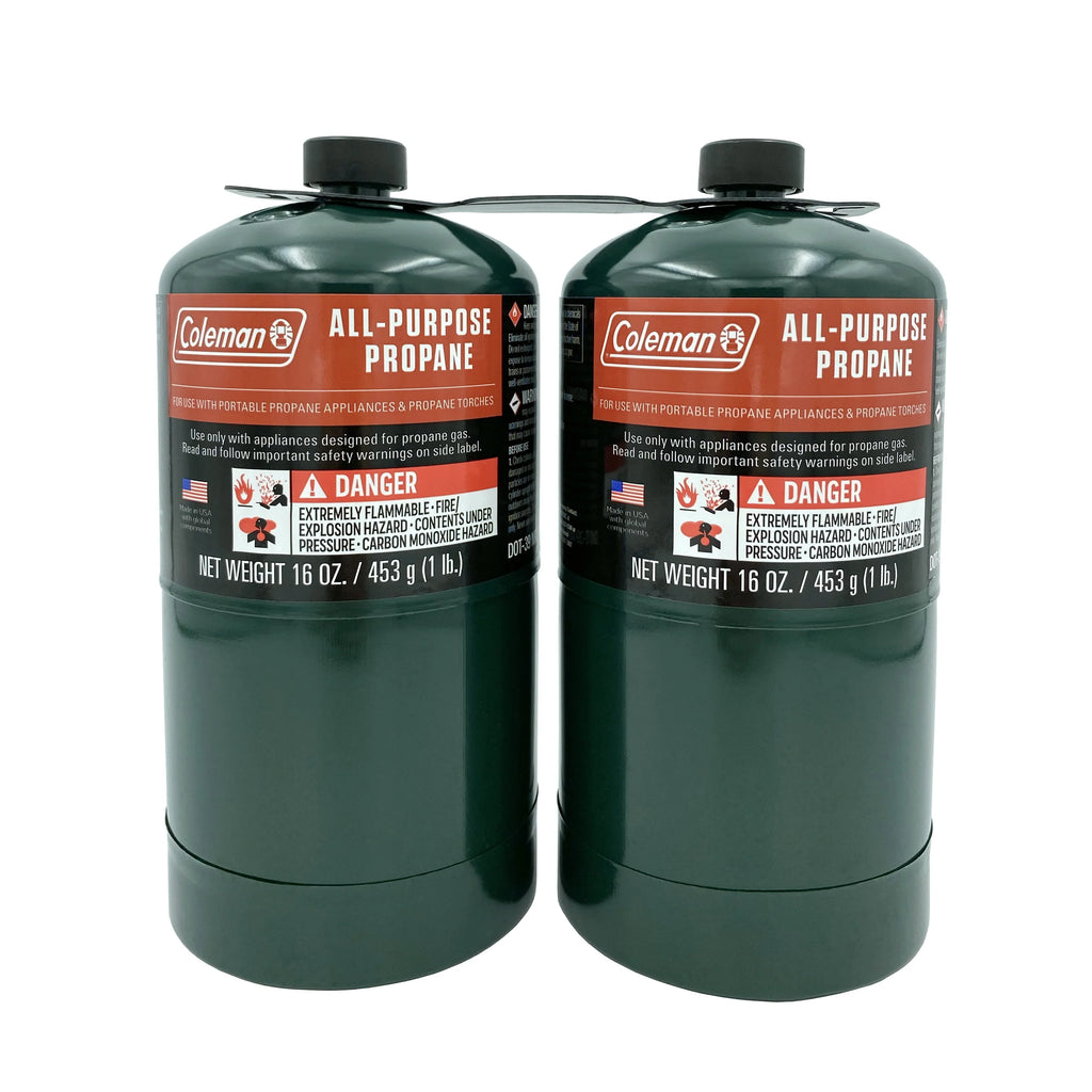 16 ounce 2-Pack Propane Gas Cylinder A110