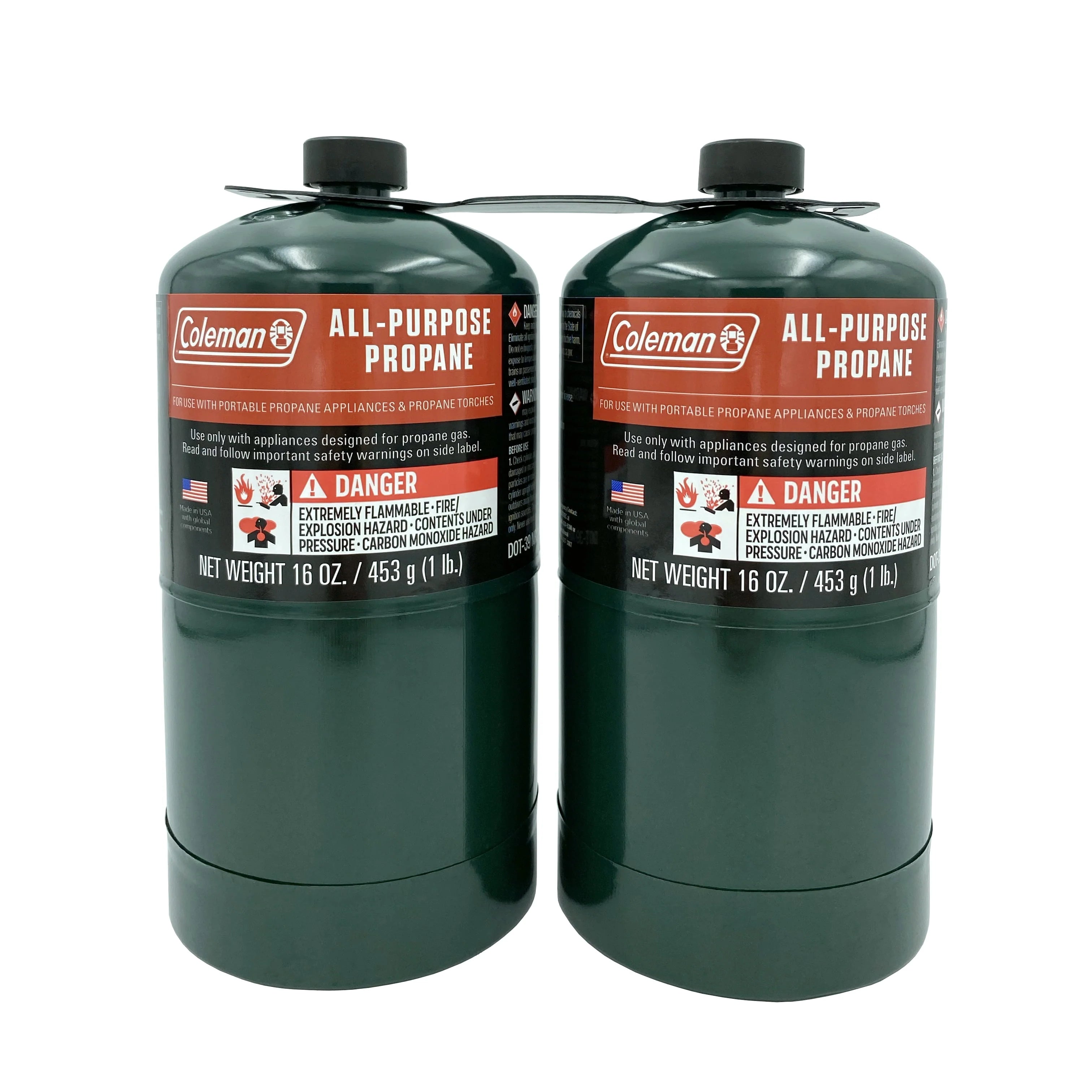16 ounce 2-Pack Propane Gas Cylinder A110