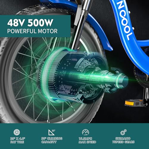 20" x 4" Fat Tire 48V 500W 3 Wheels 7 Speed Electric Tricycle with Removable Battery F631