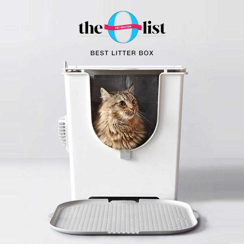 Flip Litter Box with Scoop and Reusable Liner R875534