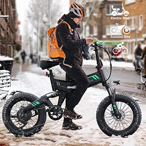 20''X4.0 Fat Tire 500W Foldable Electric Bike with 48V 10Ah Battery 7 Speed W76787