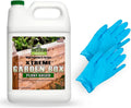 1 Gallon Plant Based Non-Toxic Wood Sealer A9516