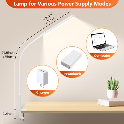 White Desk Lamp with Clamp N244018