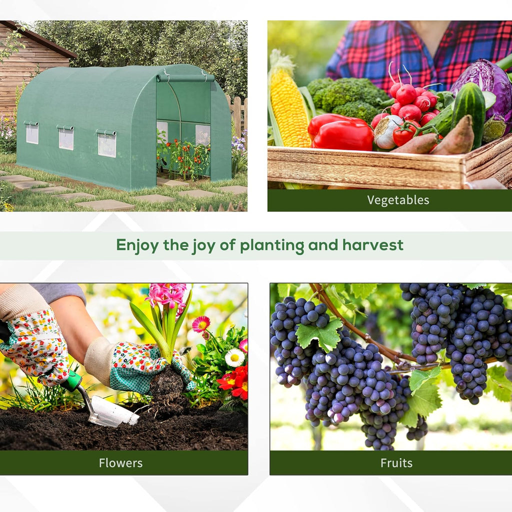 15' x 6' x 7' Walk-in Tunnel Greenhouse with Roll-up Windows Z617