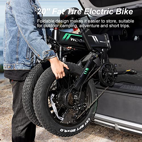 20''X4.0 Fat Tire 500W Foldable Electric Bike with 48V 10Ah Battery 7 Speed W76787
