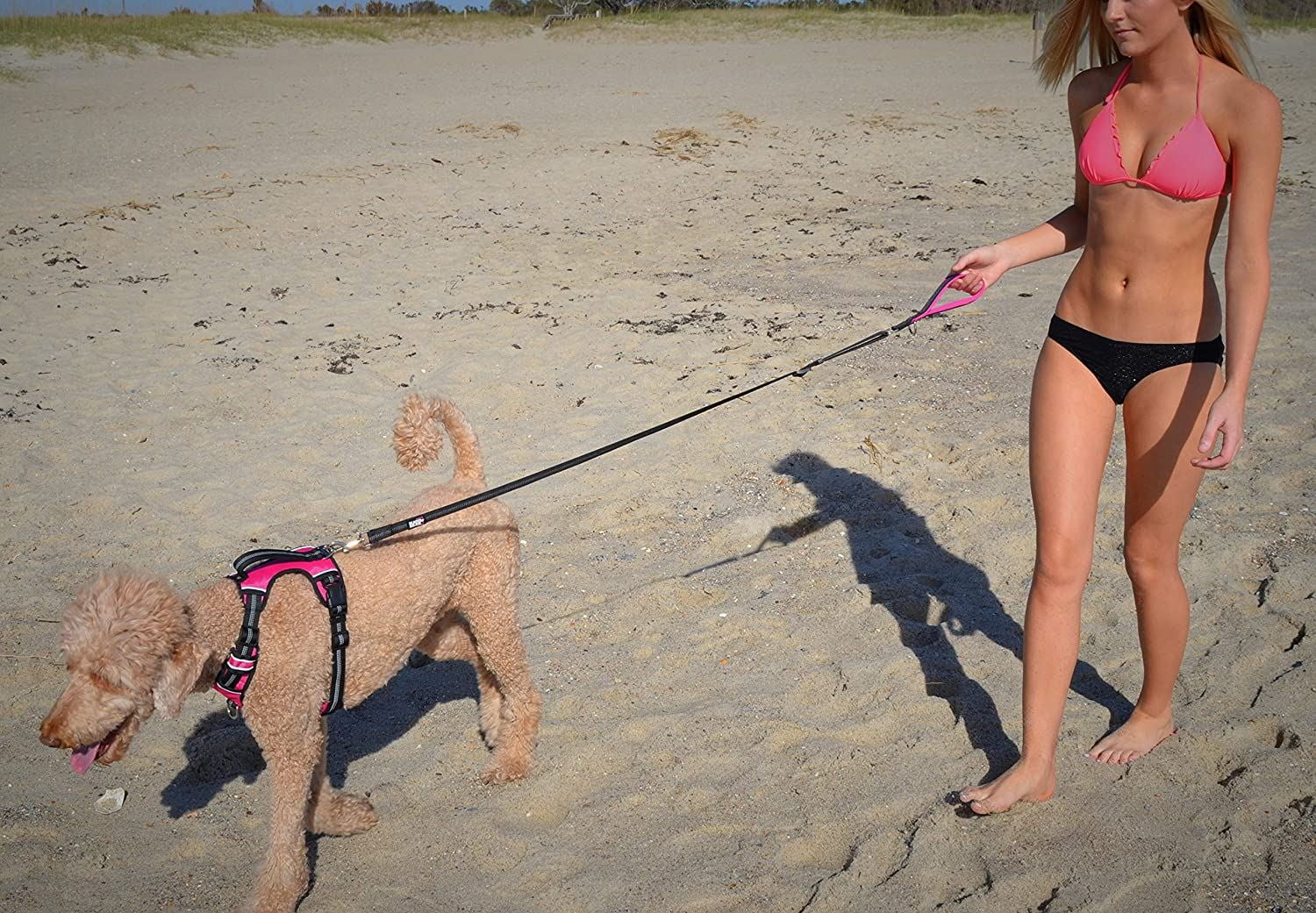 Padded Handle Adjustable Dog Leash (Pink/Black) H103333
