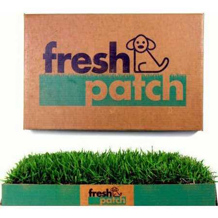Large Real Grass Pee and Potty Training Pad for Dogs S104632