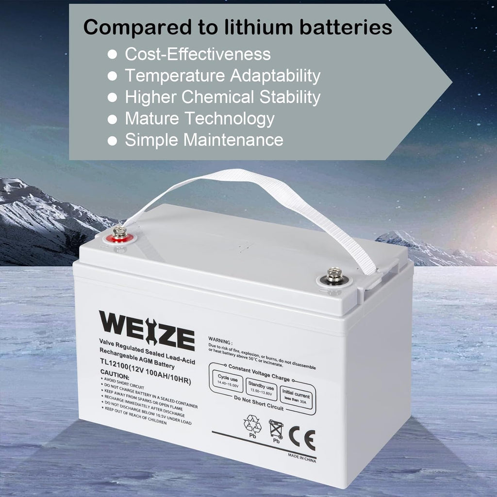 12 Volt 100Ah AGM Deep Cycle Battery D258