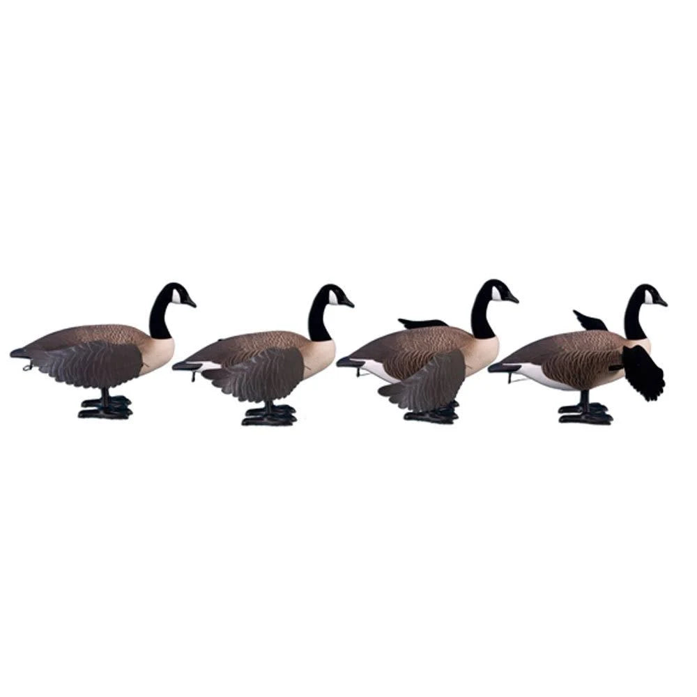 Full Body Canada Goose Decoy O56968