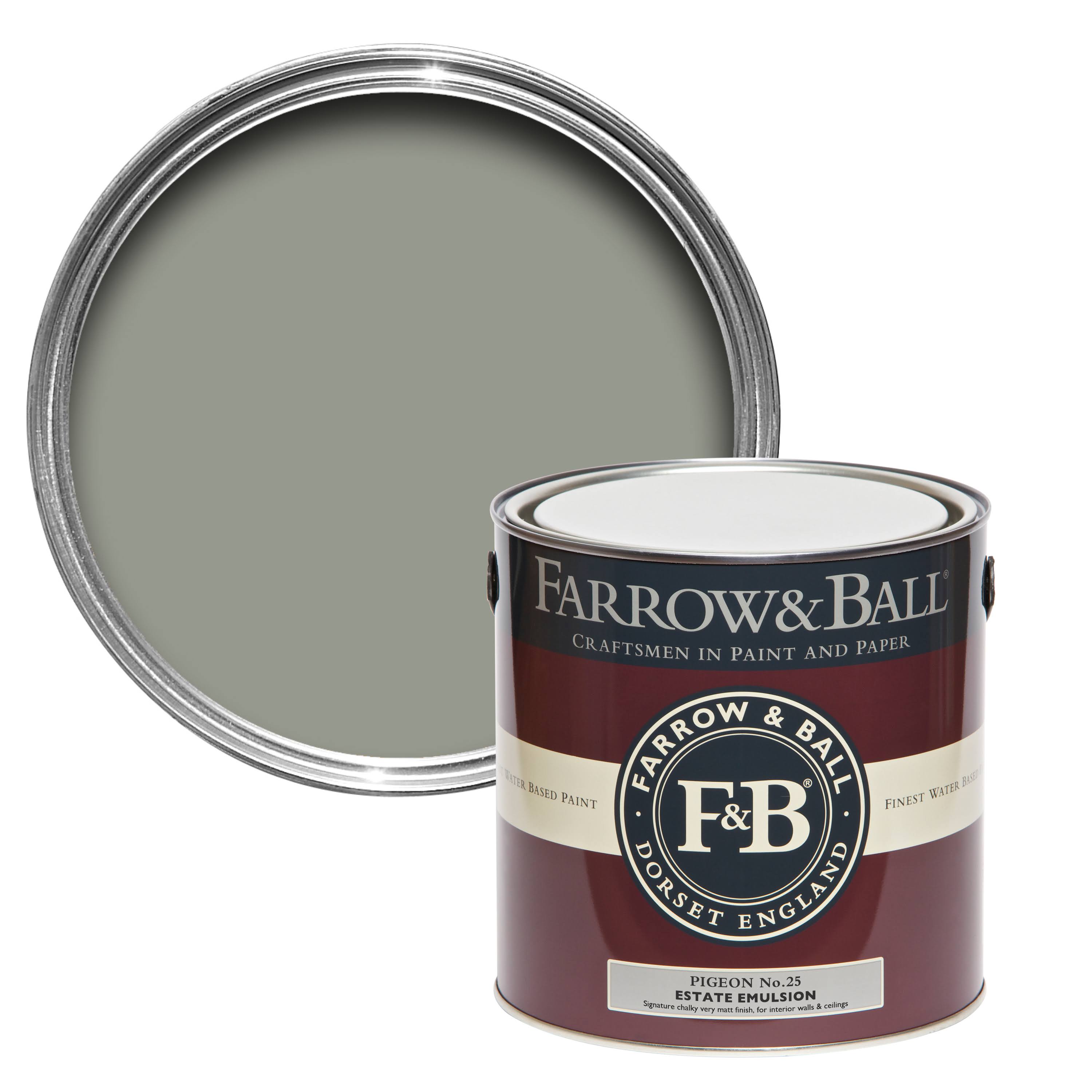 Pigeon Paint US Gallon Exterior Masonry No.25 I4767