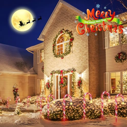 12 Pack Waterproof Solar Candy Cane Christmas Lights B58908
