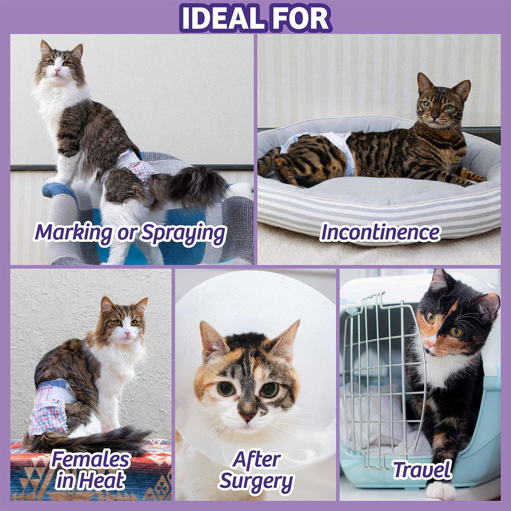 Disposable Cat Diapers Q68751