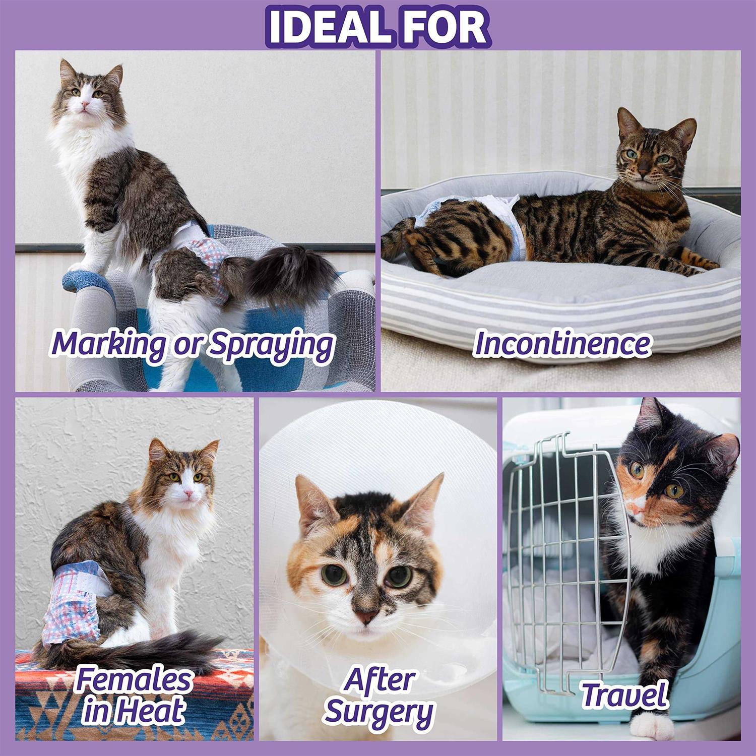 Disposable Cat Diapers Q68751