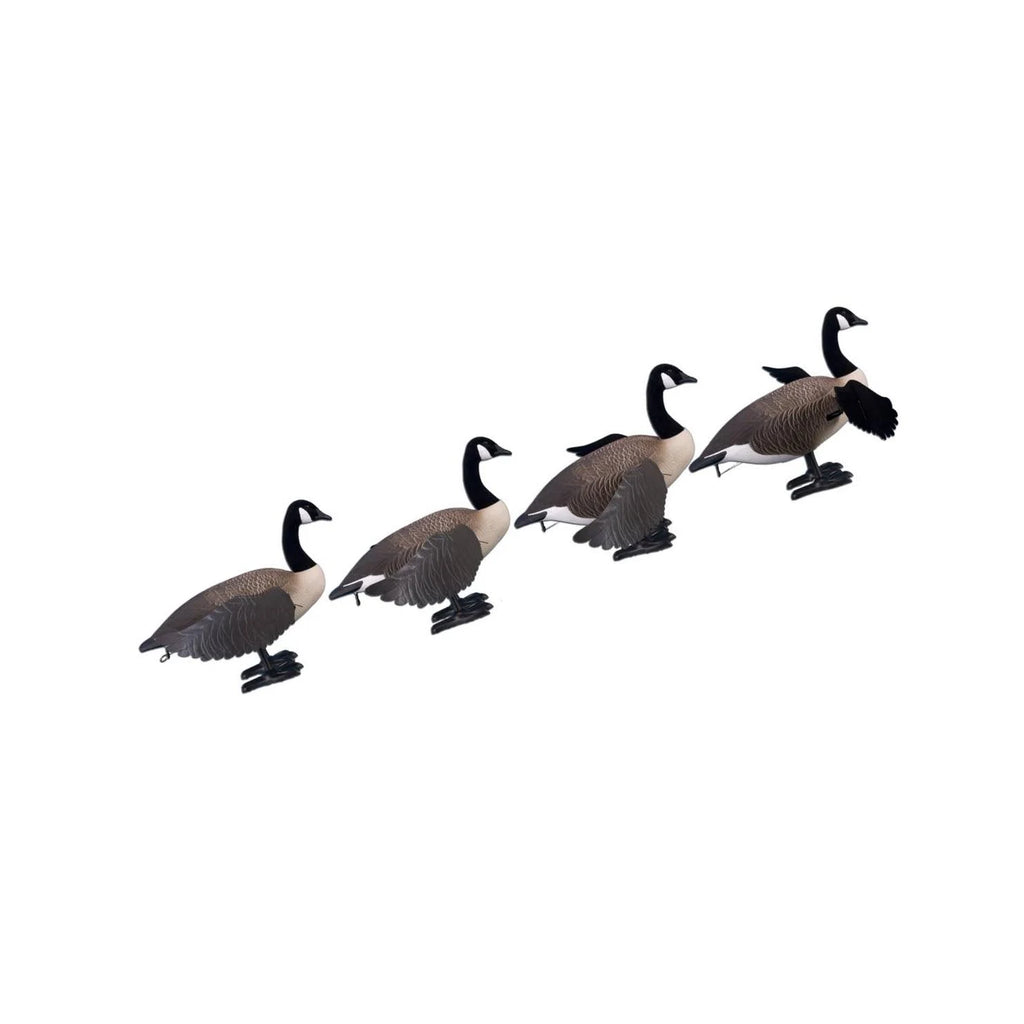 Full Body Canada Goose Decoy O56968