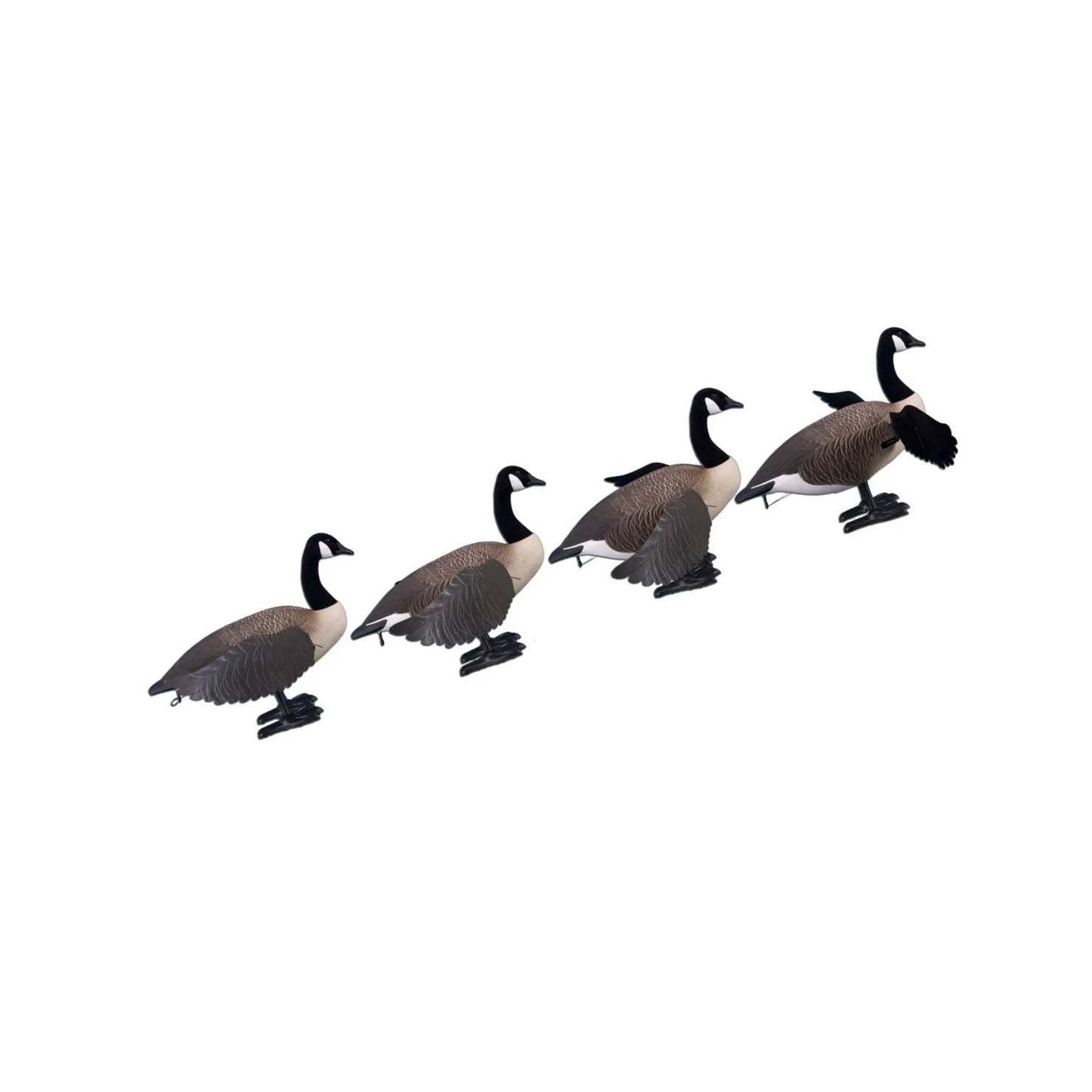 Full Body Canada Goose Decoy O56968