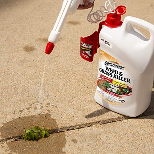 Weed & Grass Killer Refill, 1.3 Gallon O715