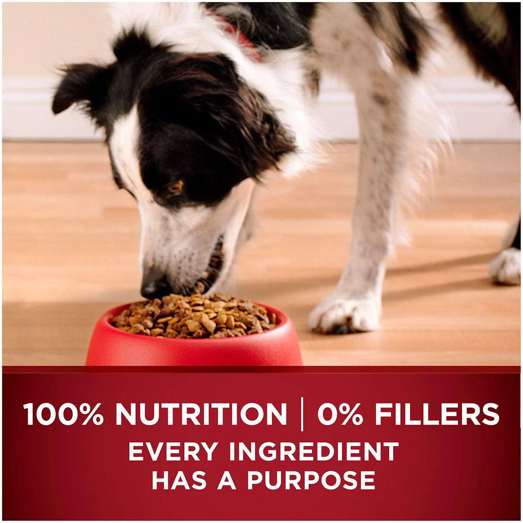 Adult Natural Turkey and Venison Recipe Dry Dog Food K768