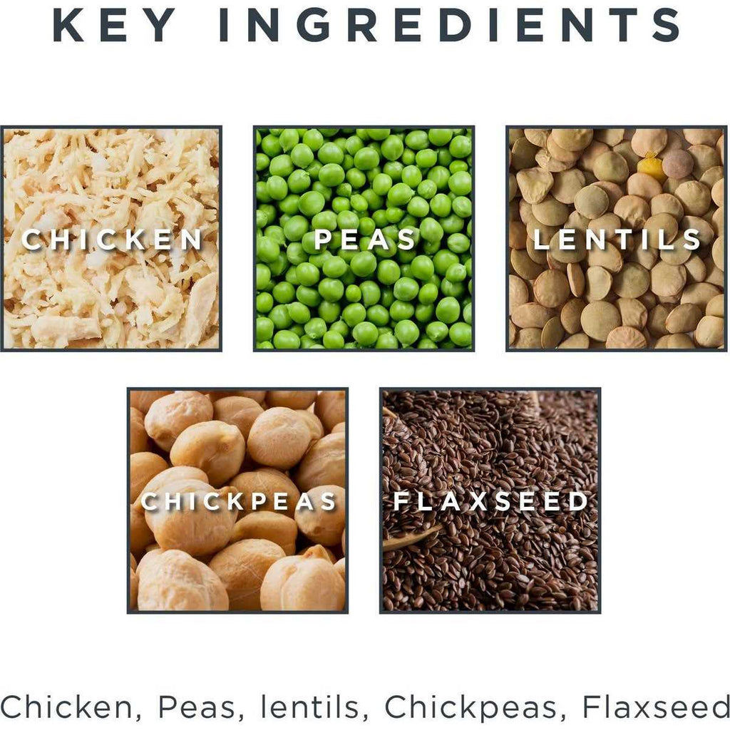 Grain-Free Chicken Recipe Dry Cat Food Y17859