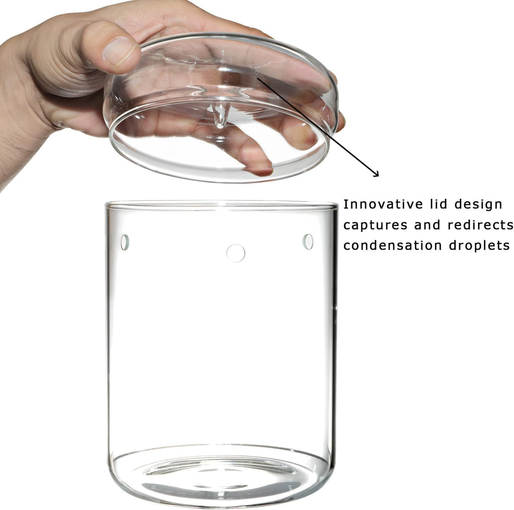 Glass Plant Terrarium – 4.7 x 7 in Small Glass Planter with Lid R5253