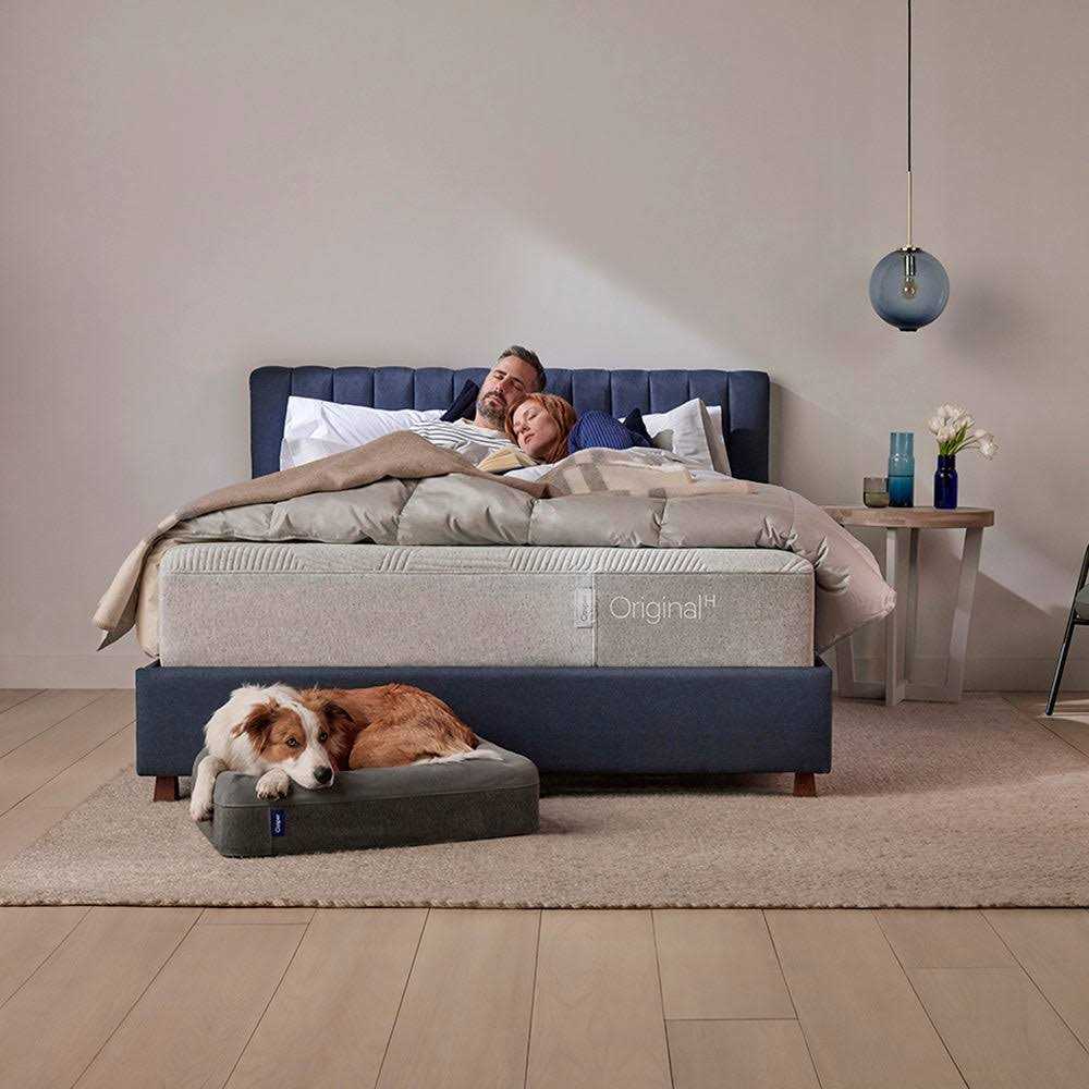 Dog Bed Z848