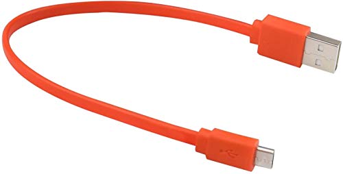 Flat USB Type C Charging Cable B928