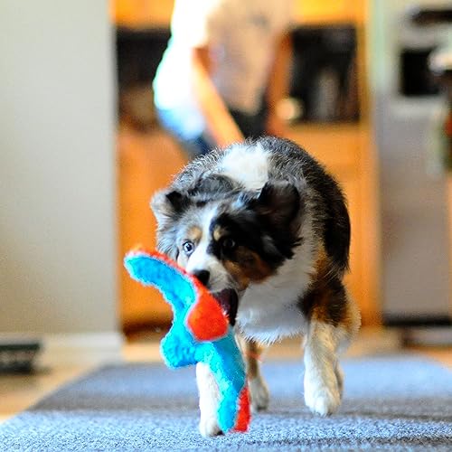 Orange and Blue 6.5 Inch Dog Toy O633
