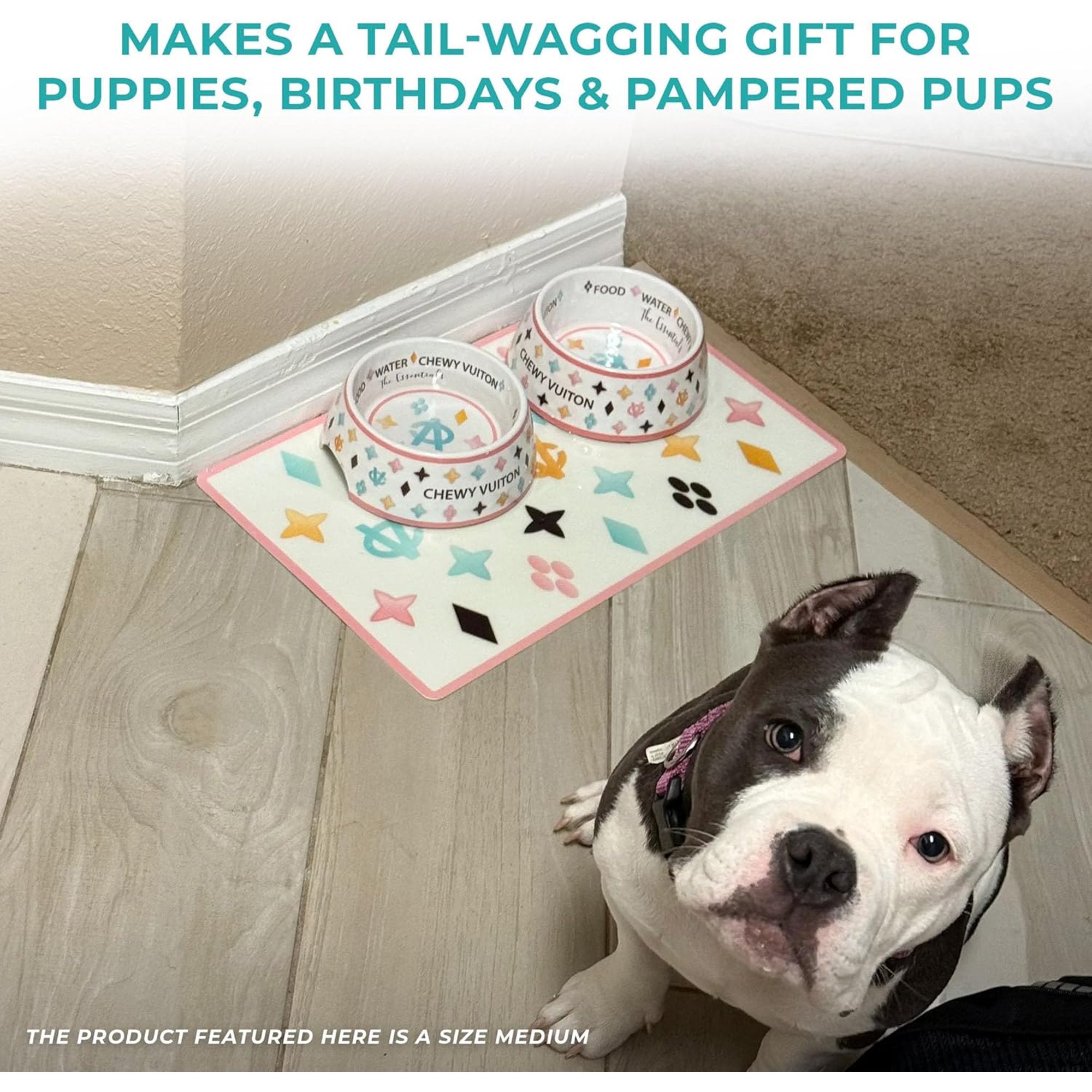 White BPA-Free Non-Skid Dog Bowls with Placemat, Case of 2 M85706