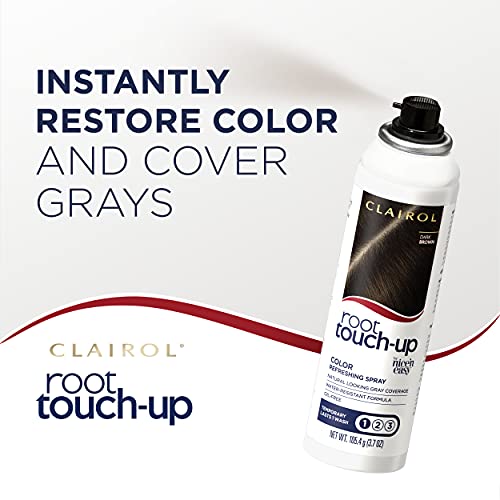 Dark Brown Temporary Hair Color Spray, 2 Count E538