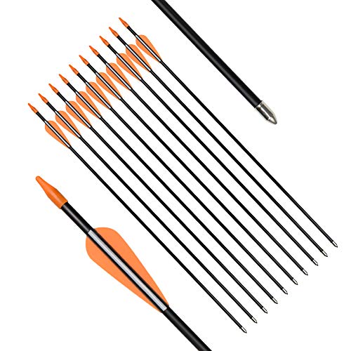 Fiberglass Arrows 30 Inch Target Shooting Safetyglass Recurve Bows A539