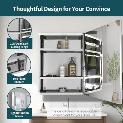 18 inch x 24 inch Frameless Mirror Medicine Cabinet L982204