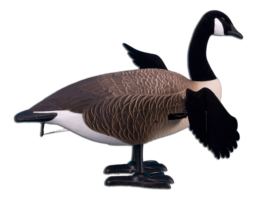 Full Body Canada Goose Decoy O56968