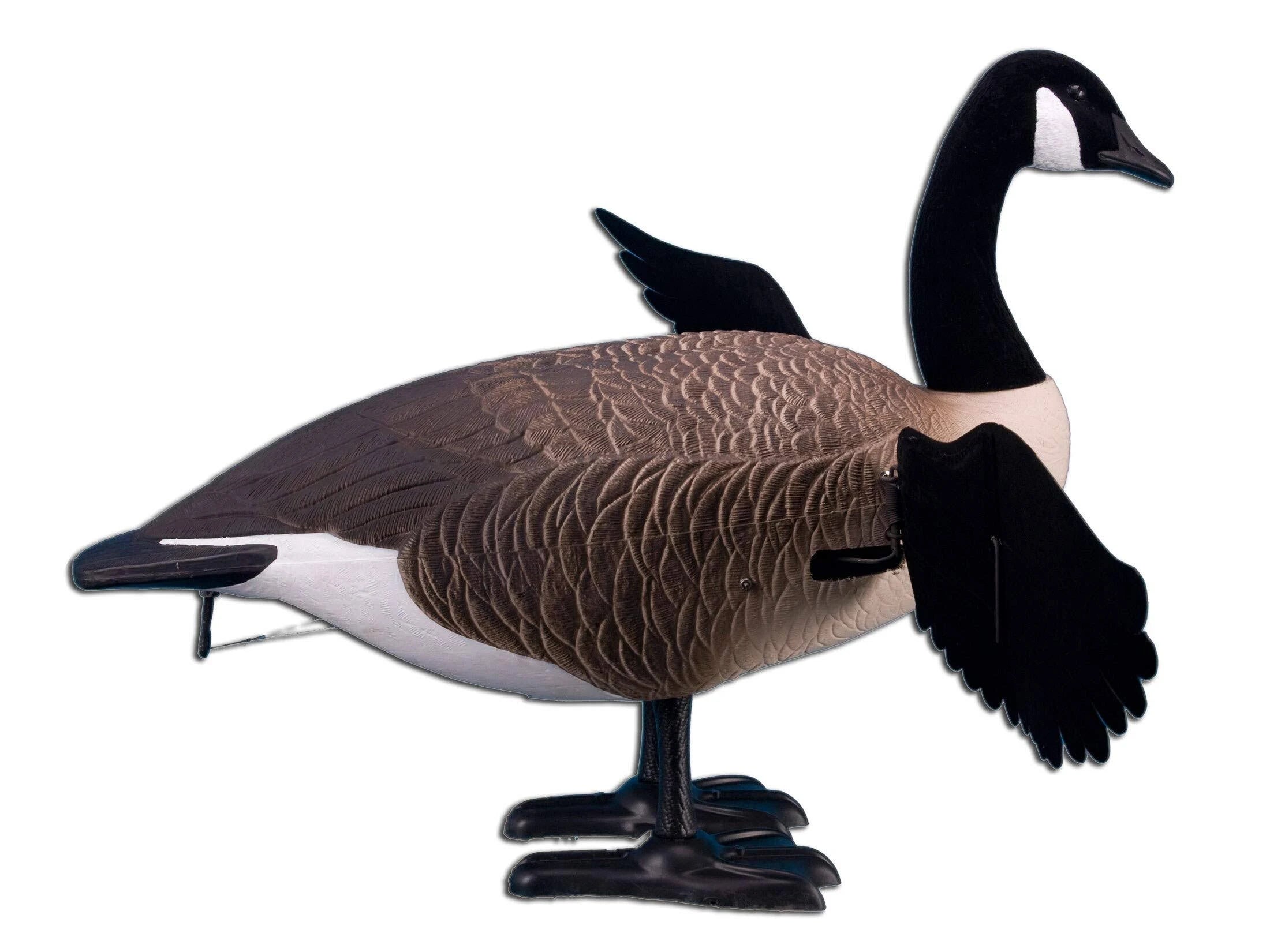 Full Body Canada Goose Decoy O56968